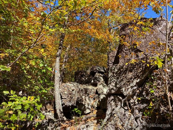 Bright yellow and orange foliage along a rocky trail.