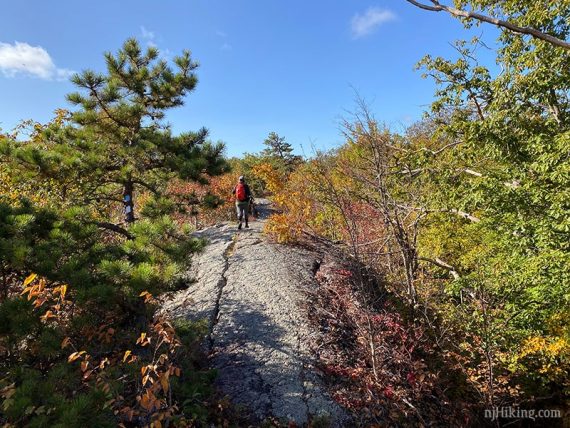 Hiker on a long open rock slab.