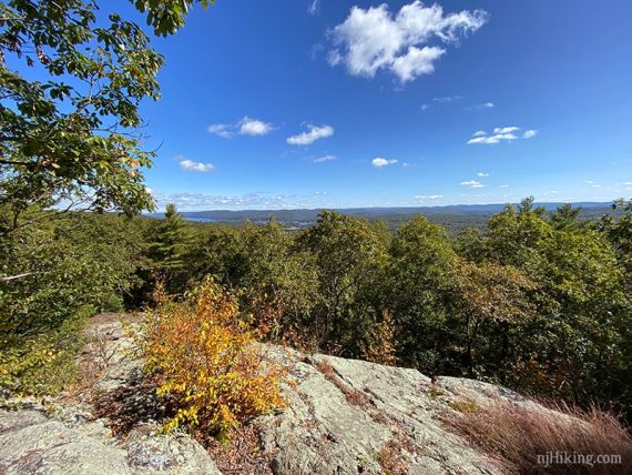 Bright blue sky with fluffy clouds over an expansive view over a forest.