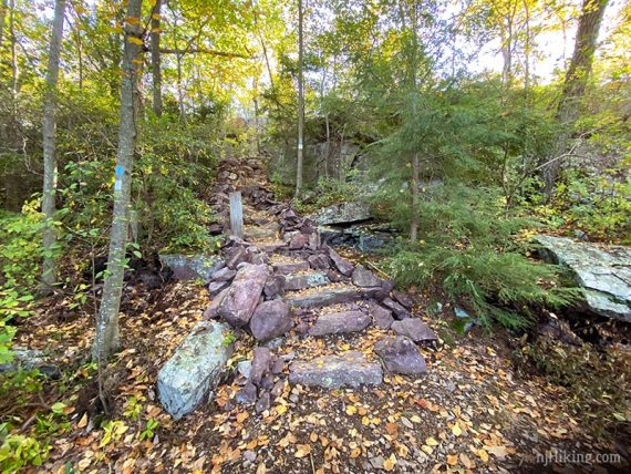 Trail with stone steps.