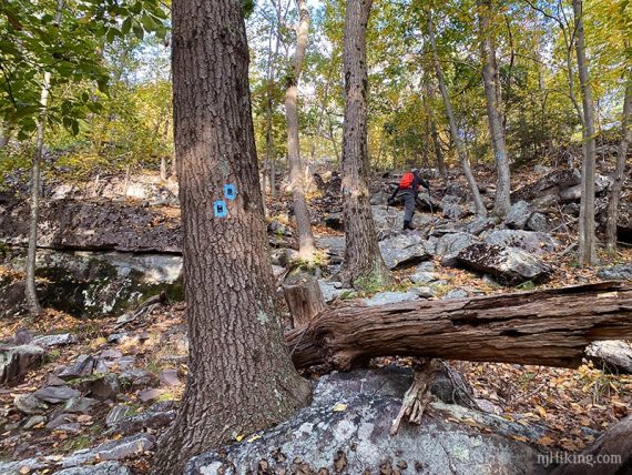 Hiker climbing a rocky trail.