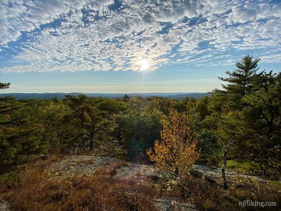 Dramatic white clouds over tree tops.