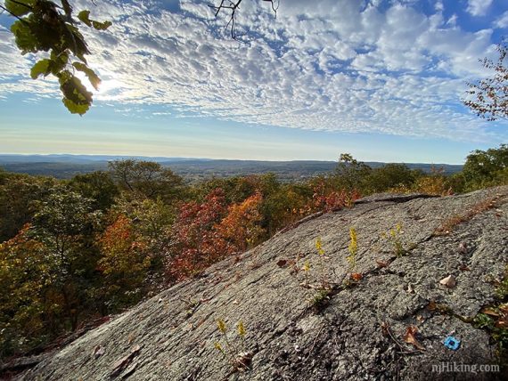 View over a forest from an open rocky viewpoint.