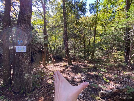 Hand showing the direction the trail splits.