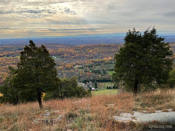 Valley and farms seen below two evergreen trees on the ridge.