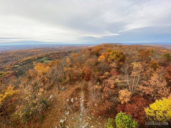 Fall foliage seen from a fire tower.