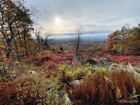 Valley seen in the distance with red foliage in the foreground.