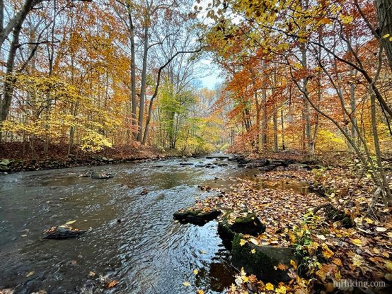 River with fall foliage around it.