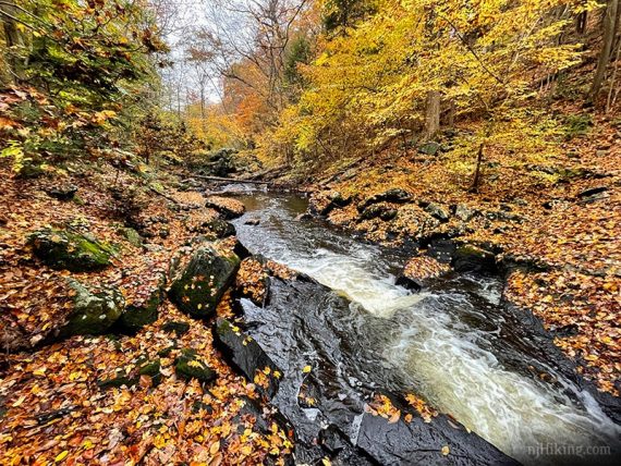 River flowing over rocks surrounded by yellow leaves.