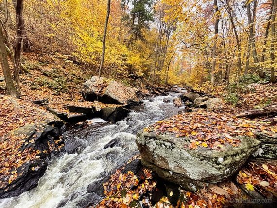 Large leaf covered rock next to flowing river.