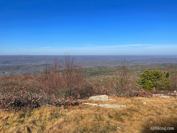 View from Blue Mountain