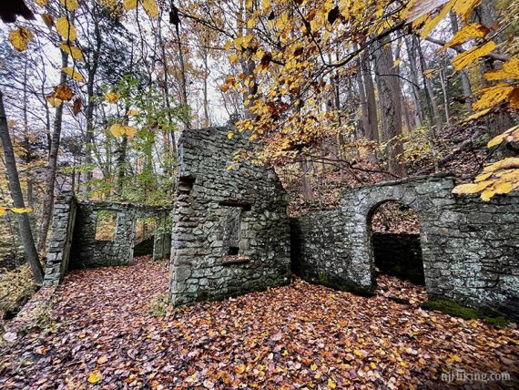 Wide view of Kay's stone cottage ruins.