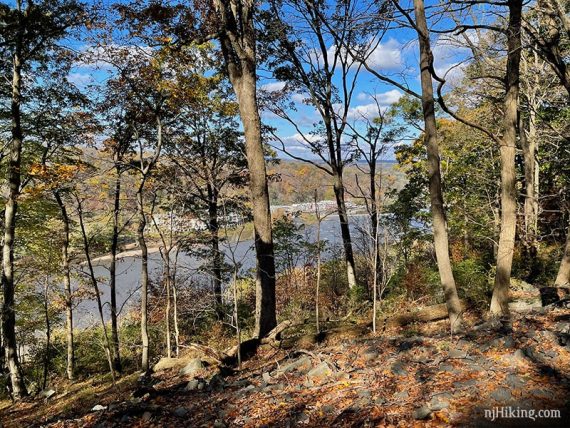 Old Quarry area of Goat Hill Preserve.