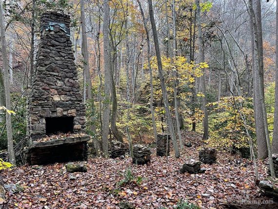 Remains of a stone chimney.