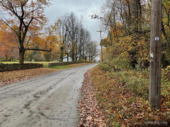 Country road with a trail marker on a telephone pole.