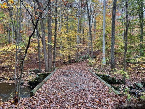 Wooden bridge covered in leaves.