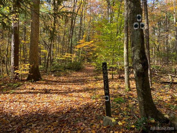 Trail markers for the Coursen Trail.