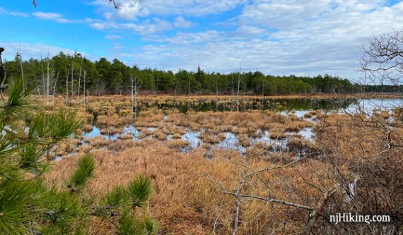 Franklin Parker Preserve