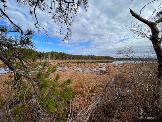 Franklin Parker bog