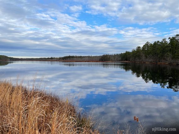 Franklin Parker water