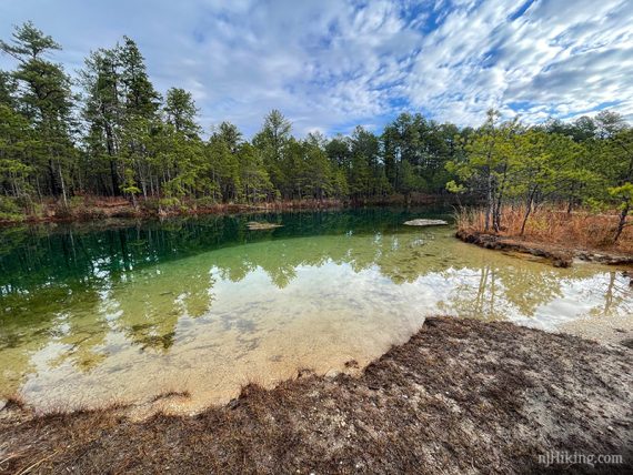 Greenish pool of water with a sandy bottom