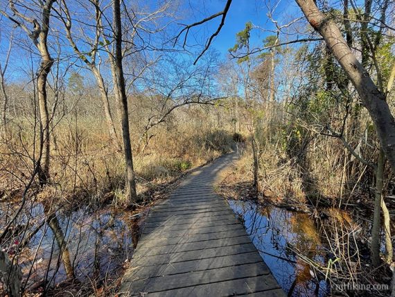 Wooden bridge on Hidden Creek