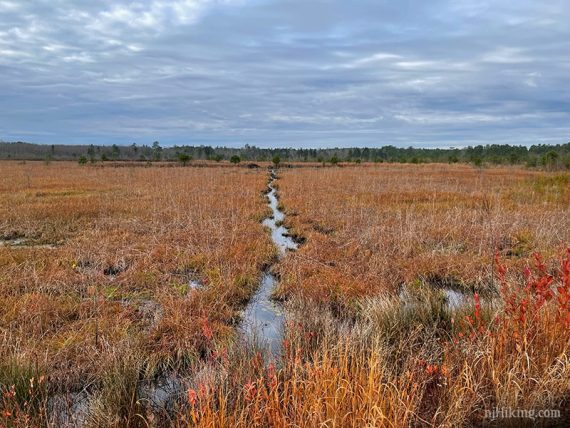 Marsh with a channel of water through it