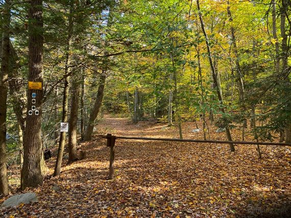 Metal gate across a woods road with several trail markers on a tree.