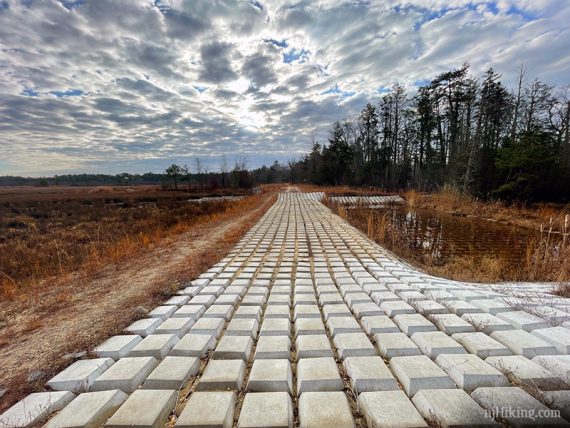 Grid of blocks across the trail