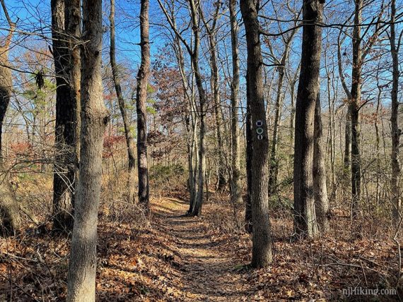 Rivers Edge and Cedar Creek trail markers on a tree