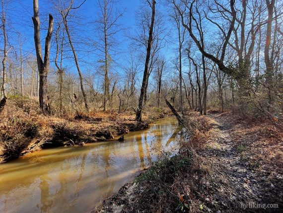 Shark River near a trail