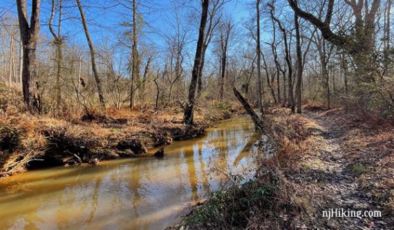 Trail next to the Shark River