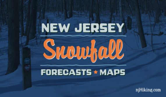 jersey forecast
