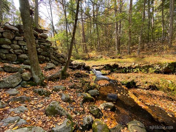 Stone wall remnants near a water cascade on a stream.