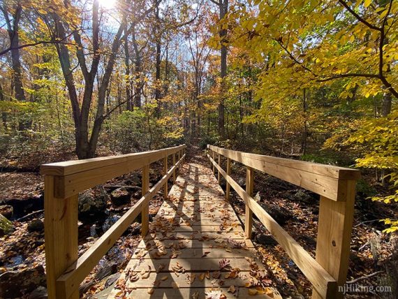 Wooden bridge surrounded by yellow foliage.