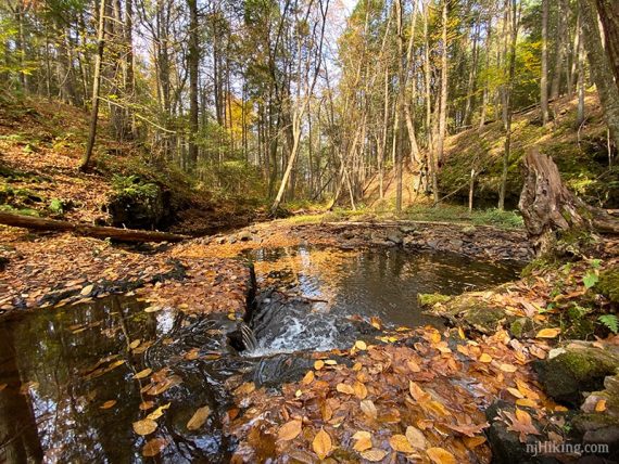 Water pooling on Stony Brook.