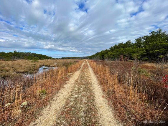 Wide dirt path