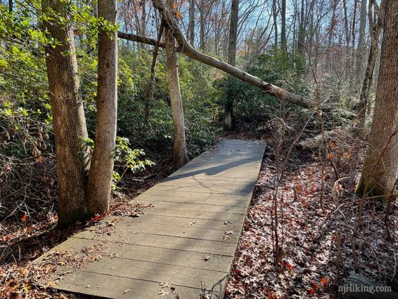 Wooden foot bridge