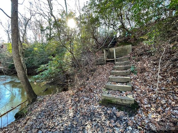 Wooden steps on a trail near a river