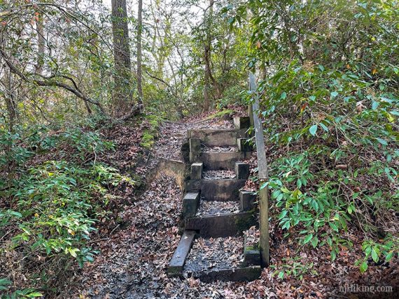 Wooden steps on a trail