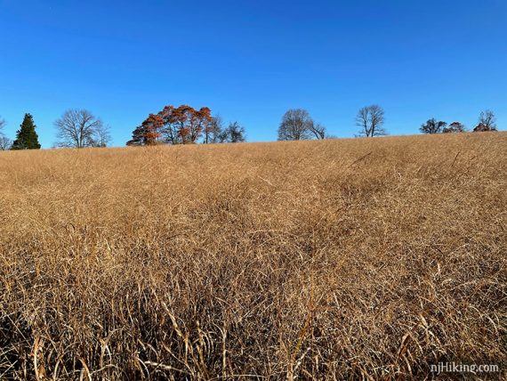 Fields at Milford Bluffs