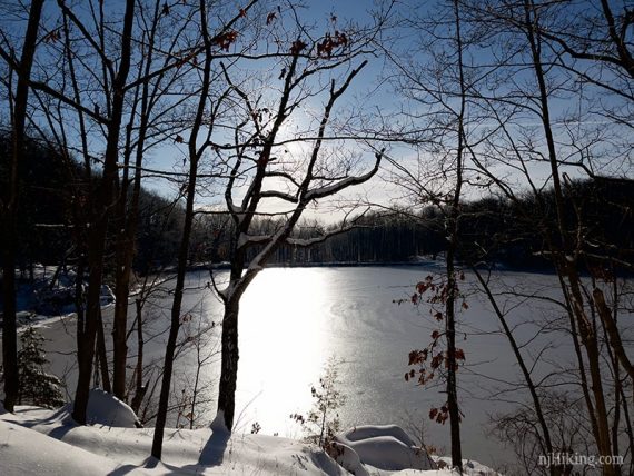 Frozen lake visible through trees.