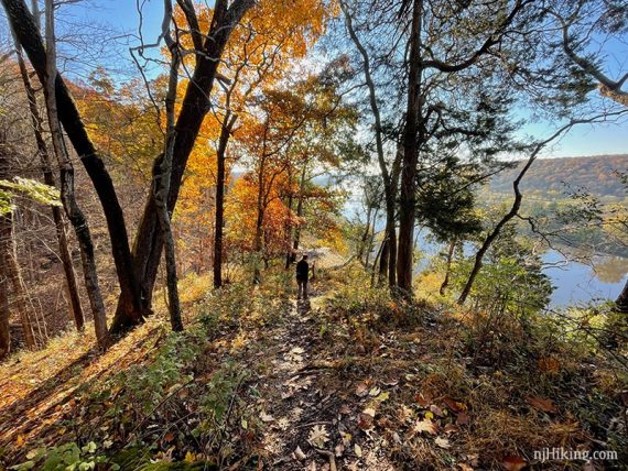 Hiker on a trail near a cliff