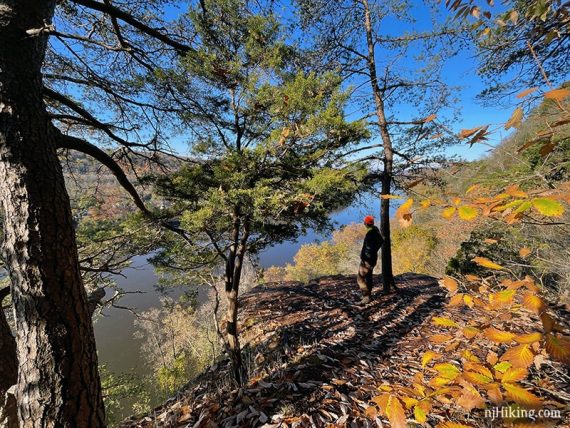 Hiker standing at cliff edge at Milford Bluff