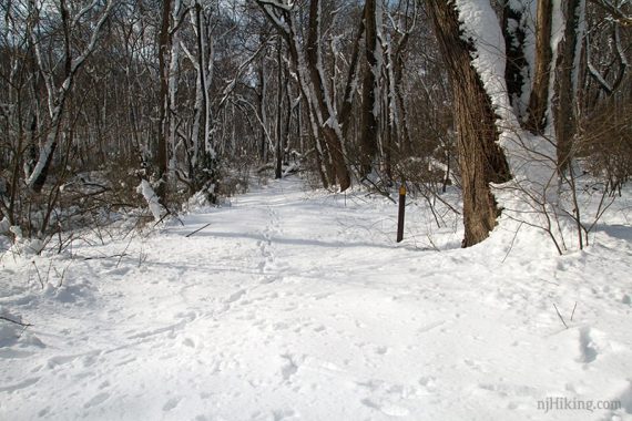 Trail marker post in snow