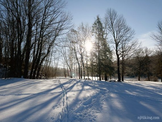 Ski and snowshoe tracks in snow