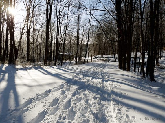 Snowshoe tracks approaching a footbridge.