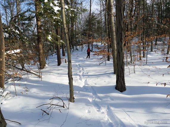 Snowshoeing through a forest