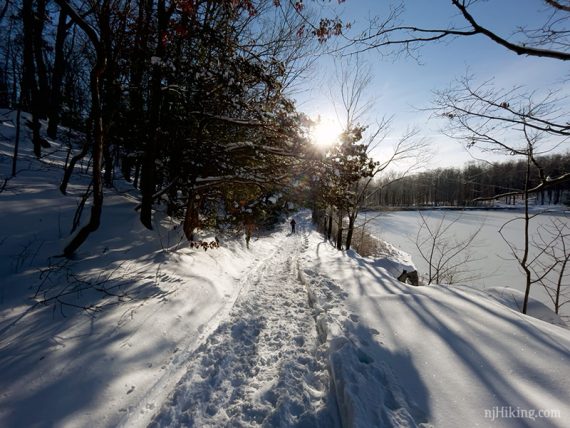 Snowy trail packed by snowshoes and boot prints