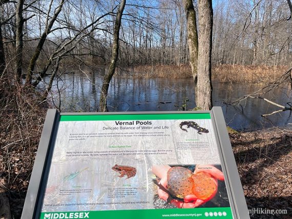 Vernal pool sign with the water behind it.